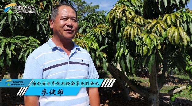 “31條”在海南,給台商帶來更多便利